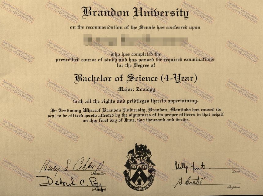 Best Fake Brandon University Diploma