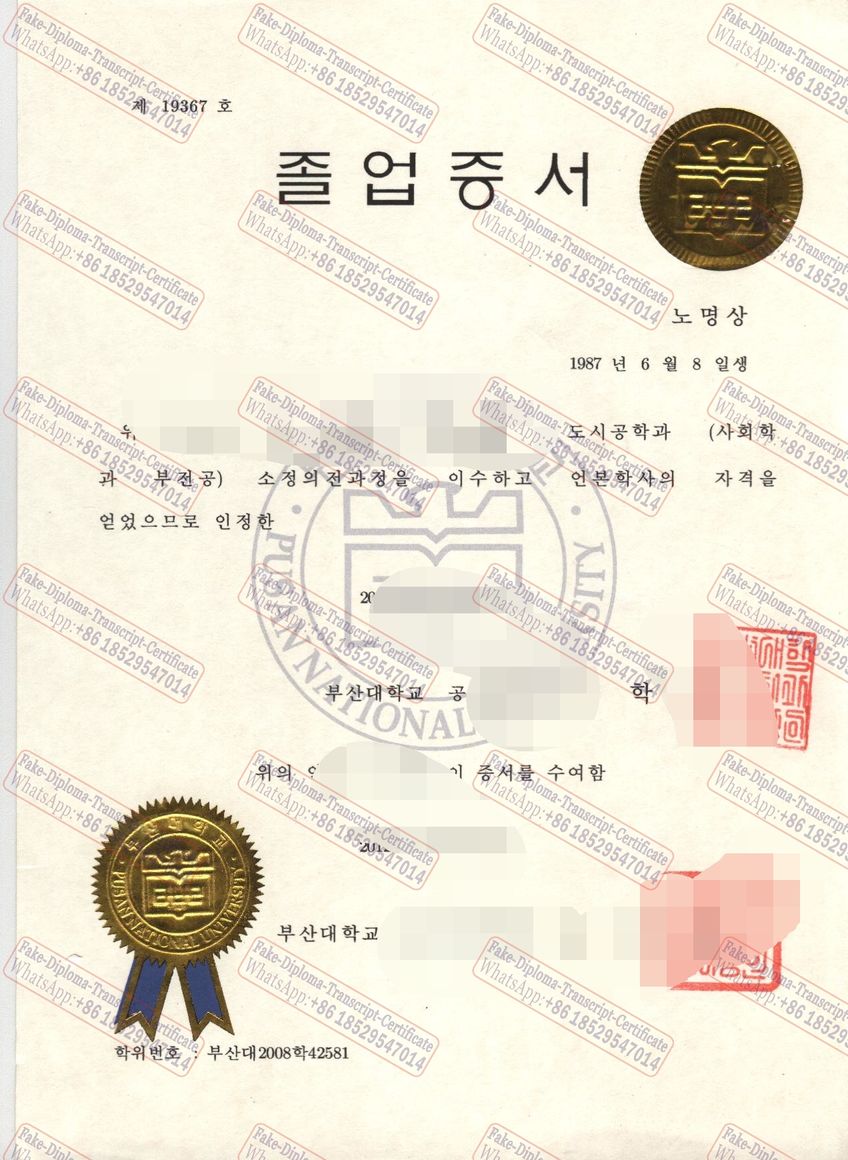 Best Fake Pusan National University Certificate