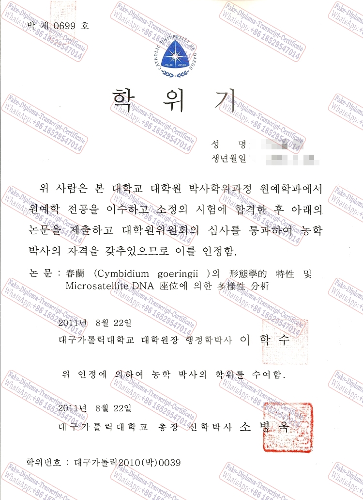 Best Fake The Catholic University of Daegu Certificate