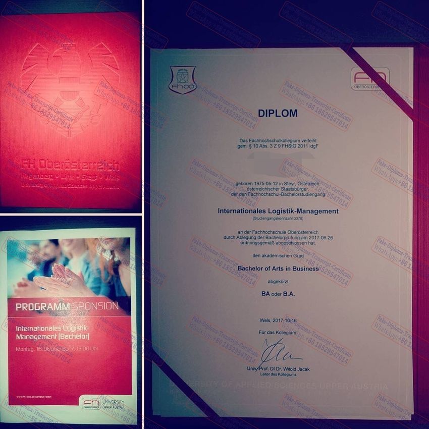 Best Fake University of Applied Sciences Upper Austria Diploma