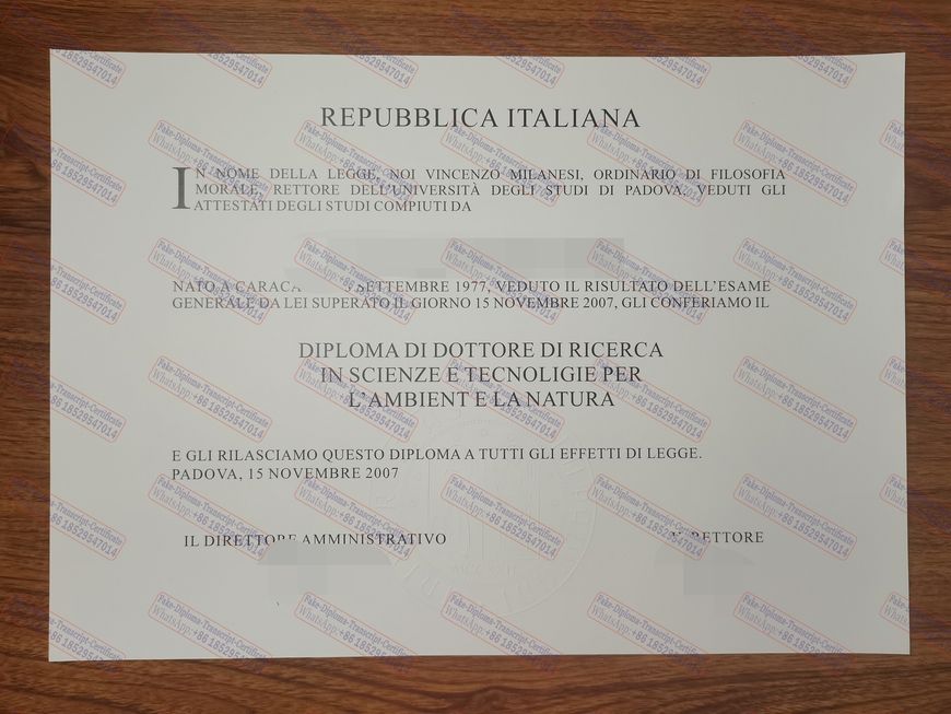 Best Fake University of Padua Diploma