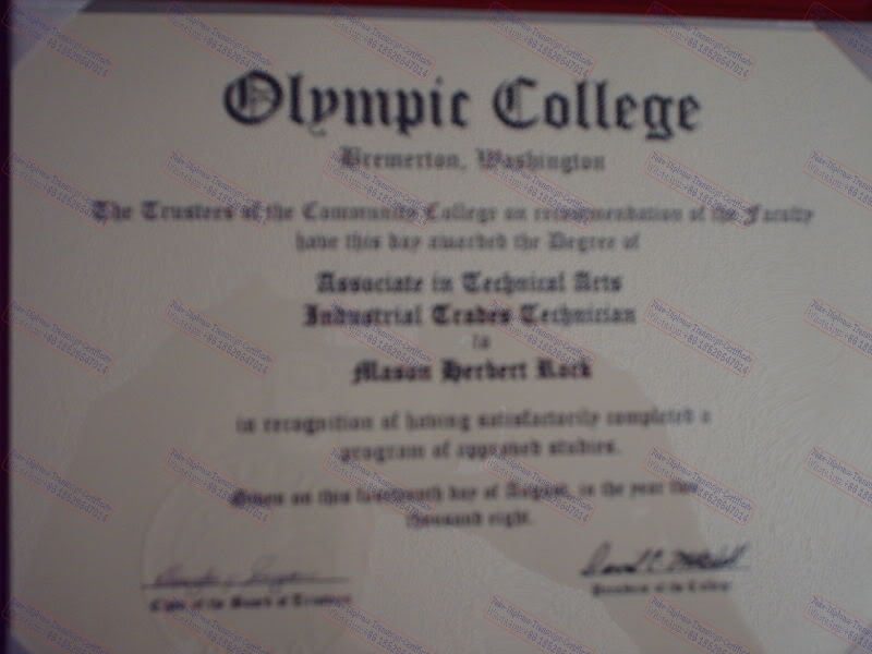 Best Fake olympic college Diploma