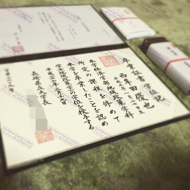 Buy fake Nagasaki University (3) Diploma