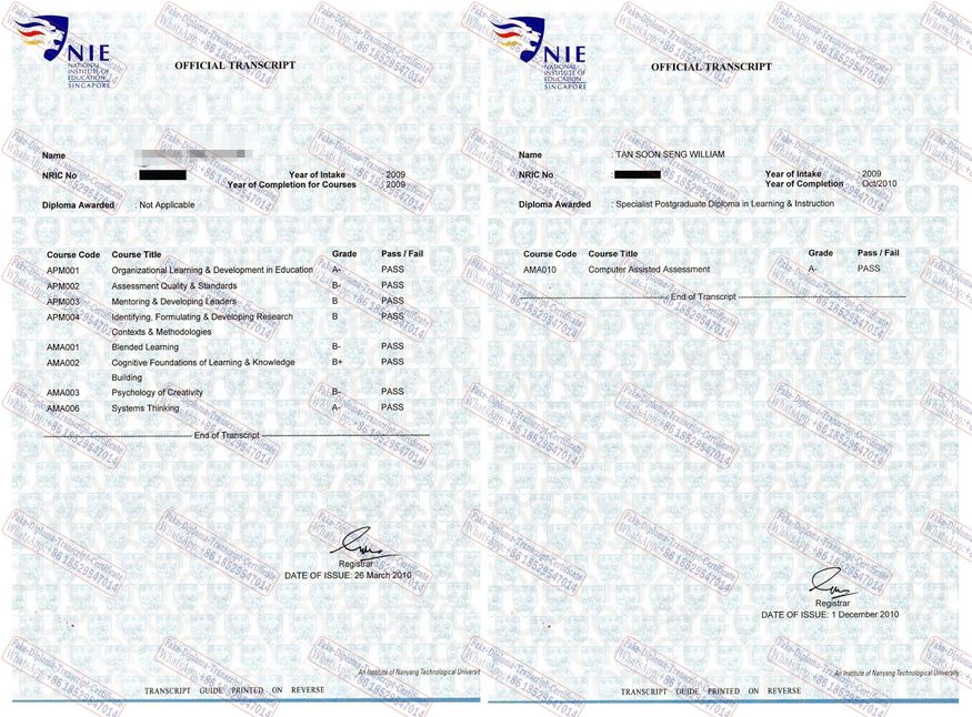 Buy fake National Institute of Education Diploma