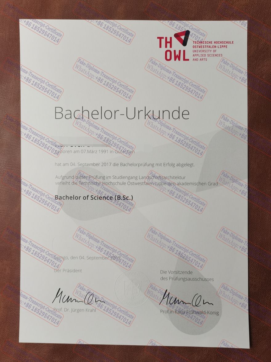 Buy fake Ostwestfalen Lippe H Hochschule Ostwestfalen Lippe Degree