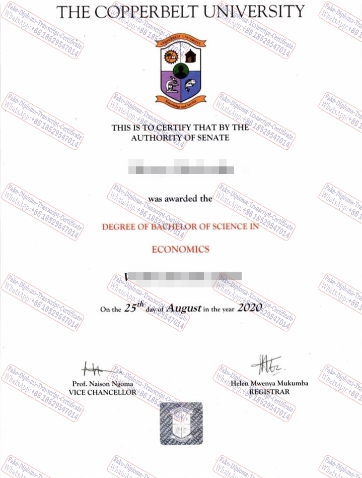 Buy fake The Copperbelt University Certificate