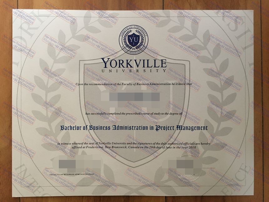 Buy fake Yorkville University Degree