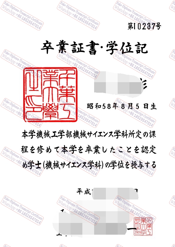 Copy Fake Chiba Institute of Technology Diploma