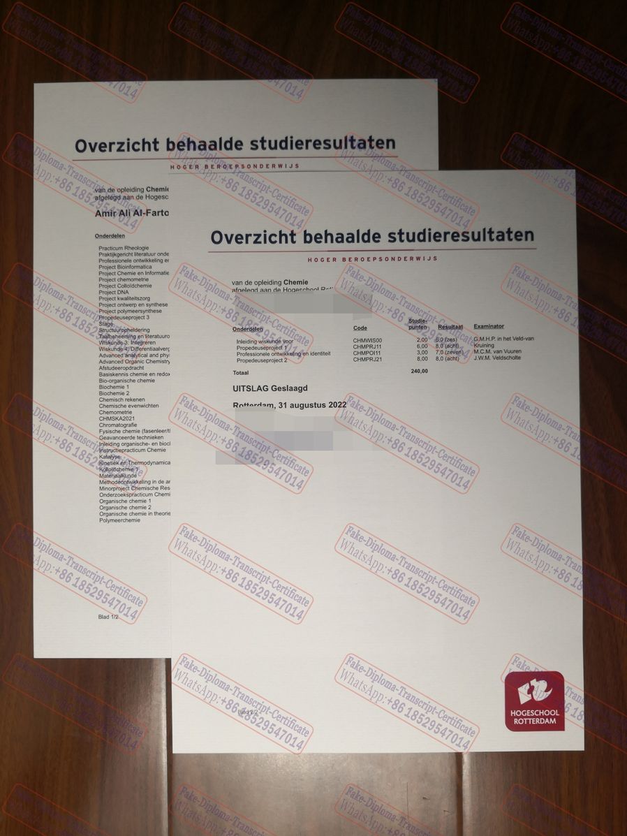 Copy Fake Erasmus University Rotterdam Diploma