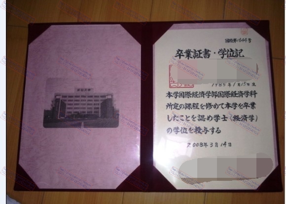 Copy Fake HAMAMATSU University Degree