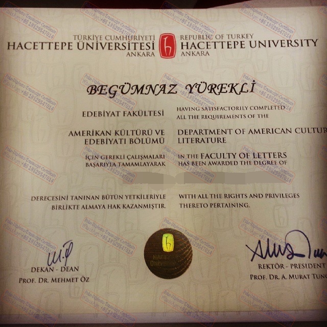 Copy Fake Hacettepe University Certificate