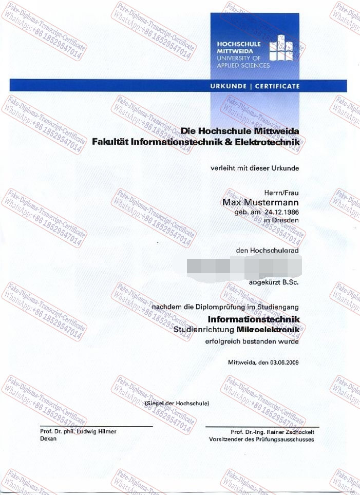 Copy Fake Mittweida University of Applied Sciences Certificate