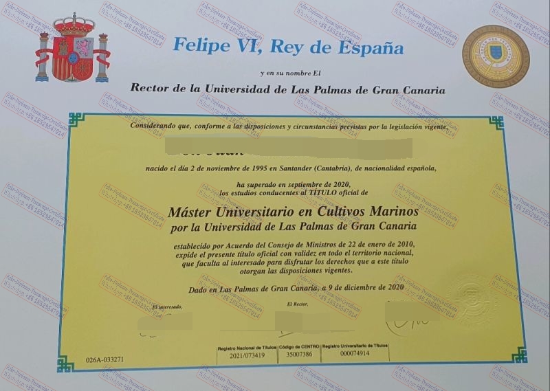 Copy Fake Municipality of Las Palmas Diploma