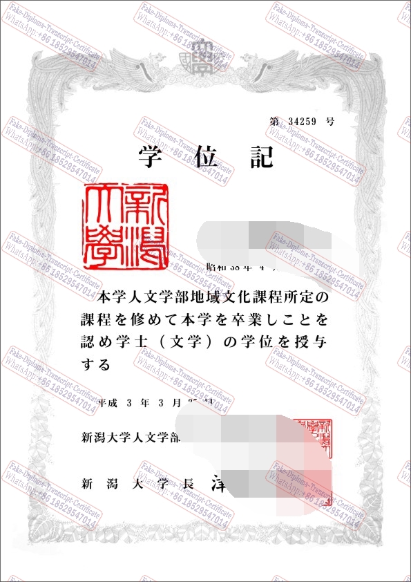 Copy Fake Niigata University Diploma