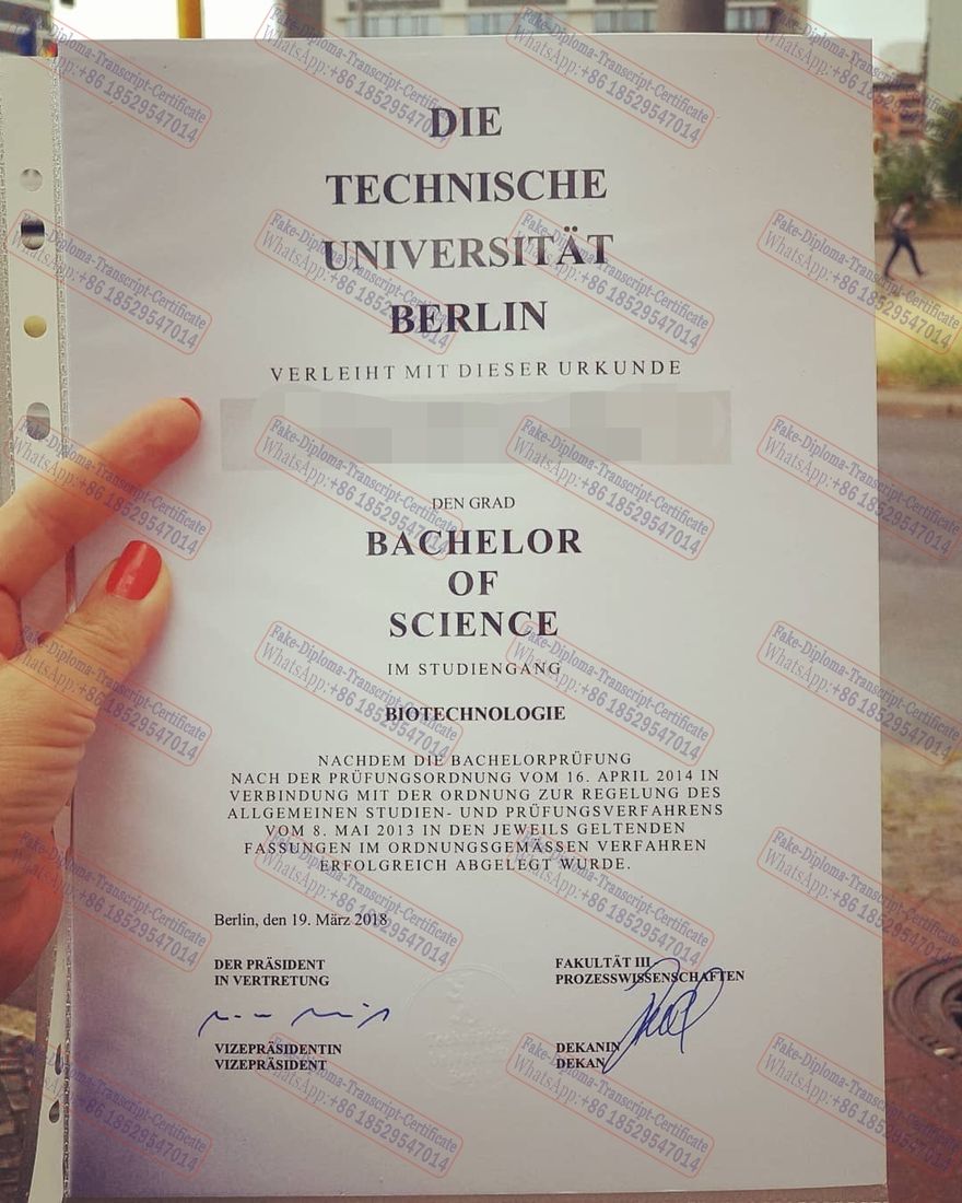 Copy Fake Technical University Berlin Diploma