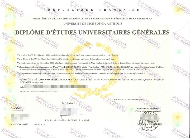 Copy Fake Université Nice Sophia Antipolis Diploma