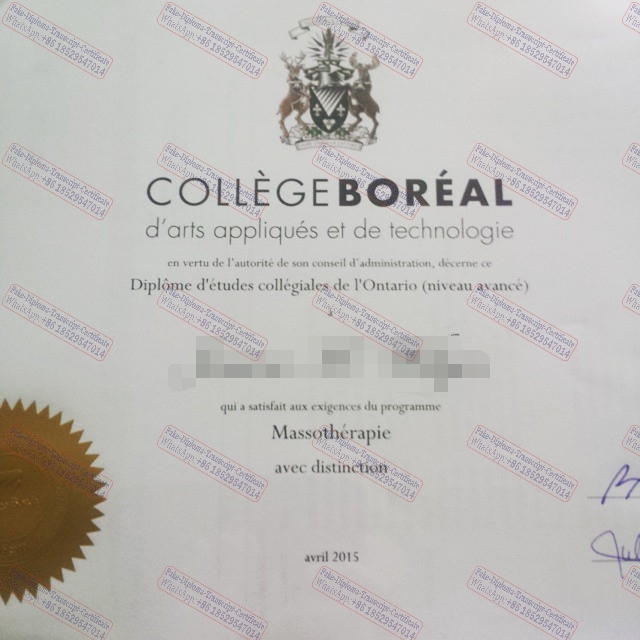 Fake Boreal College Degree