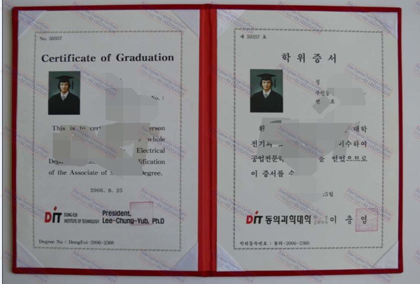 Fake DONG EUI UNIVERSITY Certificate