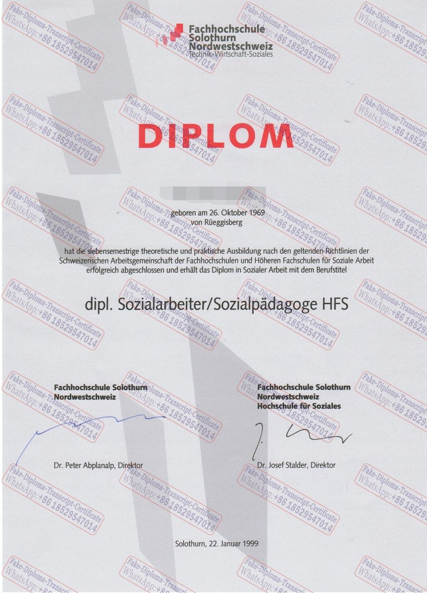 Fake FH Solothurn Nordwestschweiz Degree