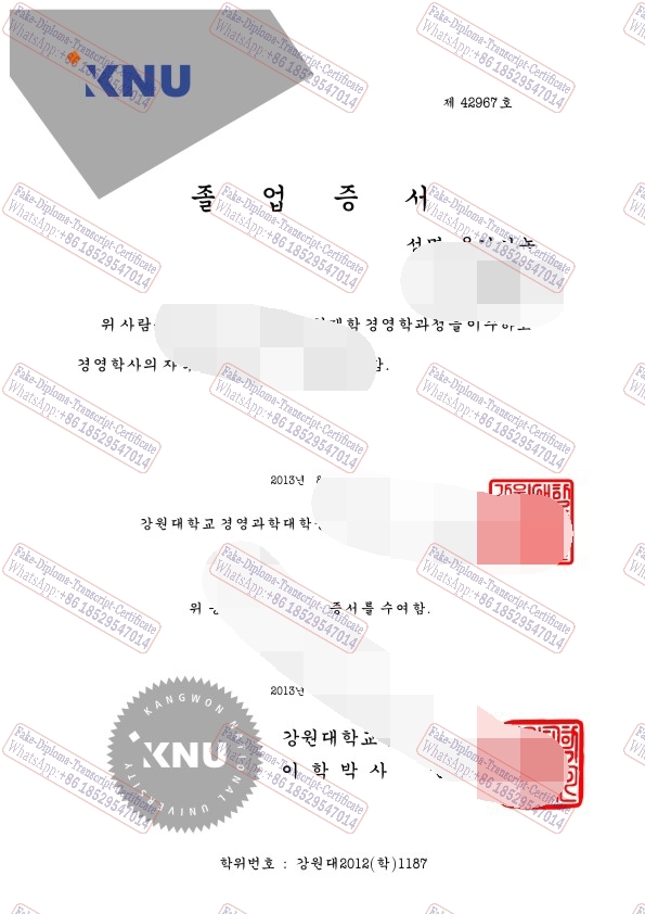 Fake Kangwon National University Diploma