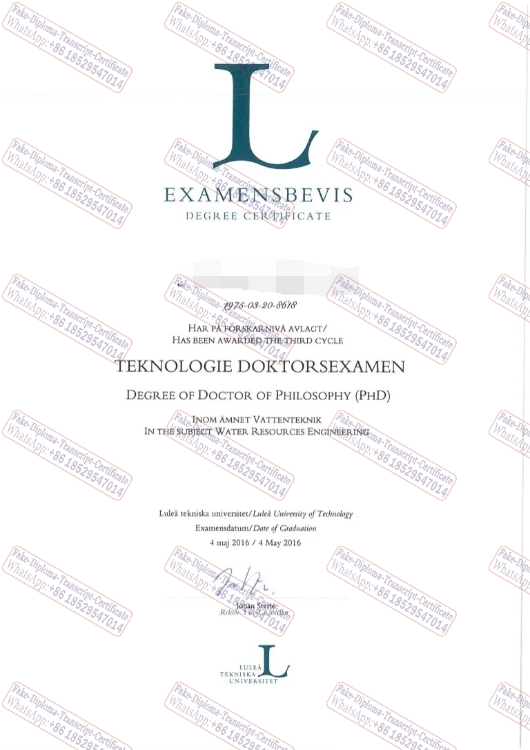 Fake Lulea University of Technology Certificate