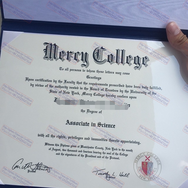 Fake Mercy College Degree