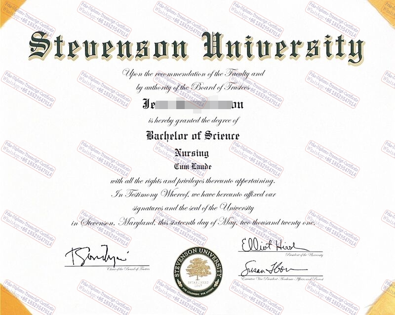 Fake Stevenson University Diploma