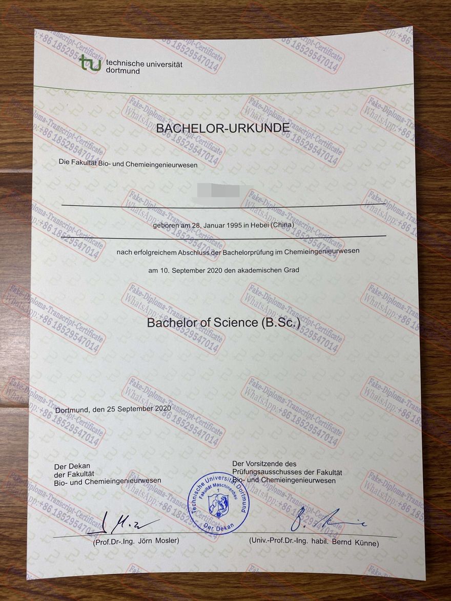 Fake Technical University Dortmund Diploma