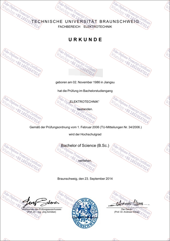 Fake Technical University of Braunschweig Diploma