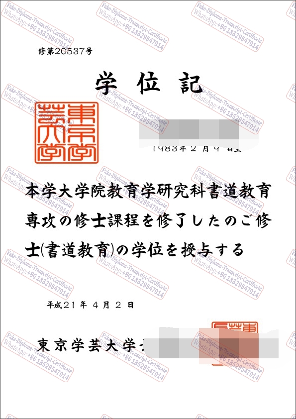 Fake Tokyo Gakugei University Degree