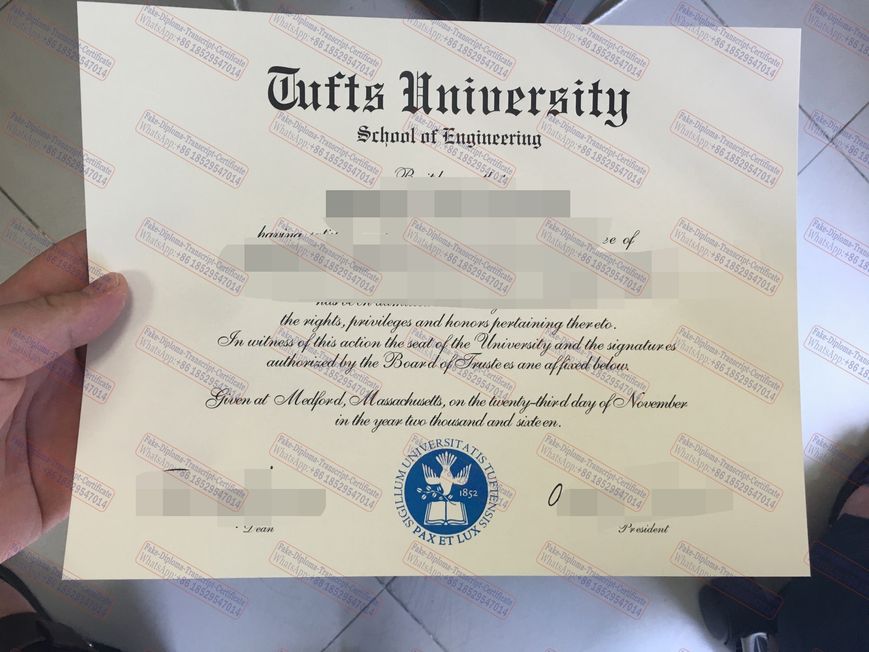 Fake Tufts University Degree