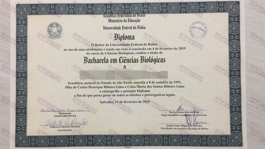 Fake Universidade Federal da Bahia Degree