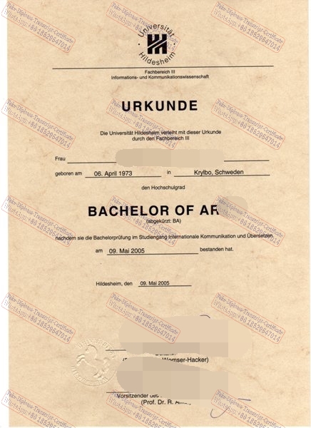 Fake Universitat Hildesheim Degree