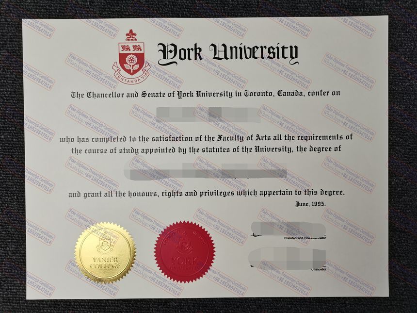 Fake University of York Certificate