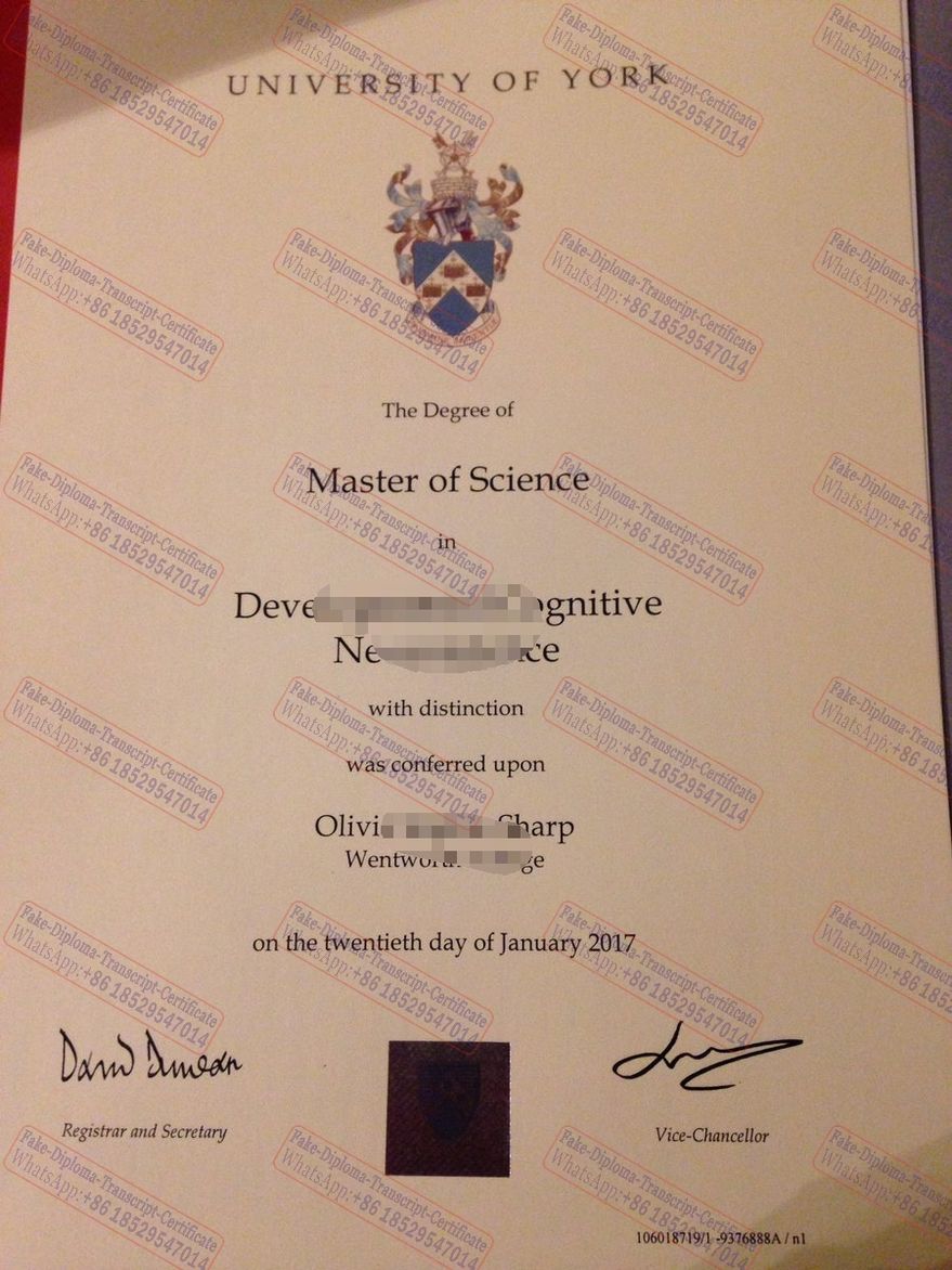 Fake University of York Diploma