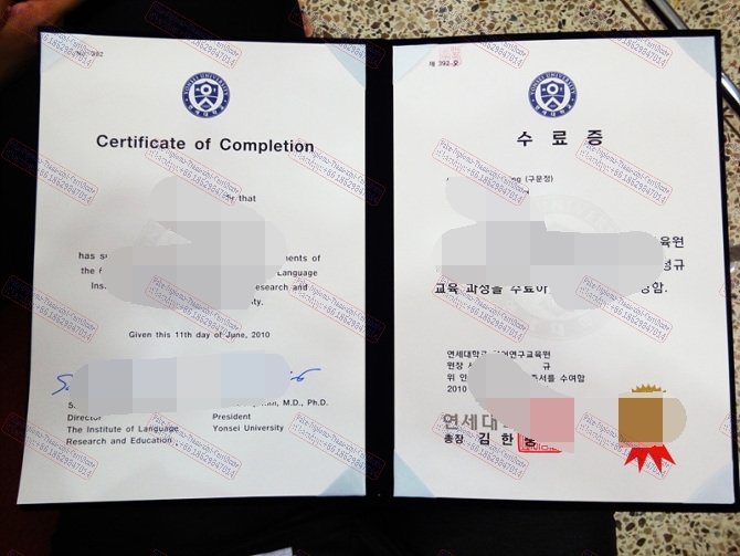 Fake Yonsei University Diploma