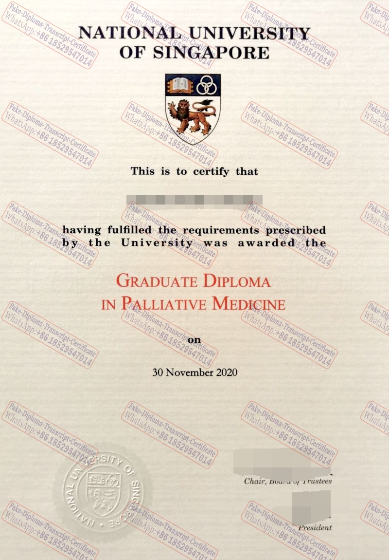 How Buy Fake 2020National University of Singapore Diploma