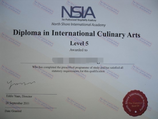 How Buy Fake North Shore International Academy Certificate