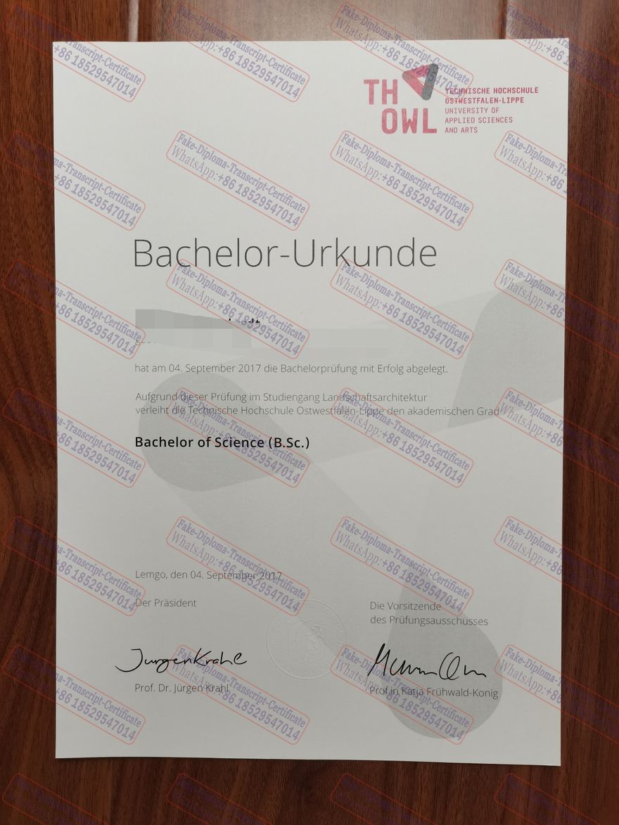 How to create fake Management University of East Westphalia Lippe Diploma