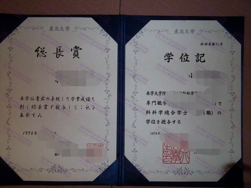 How to create fake Tohoku University Certificate