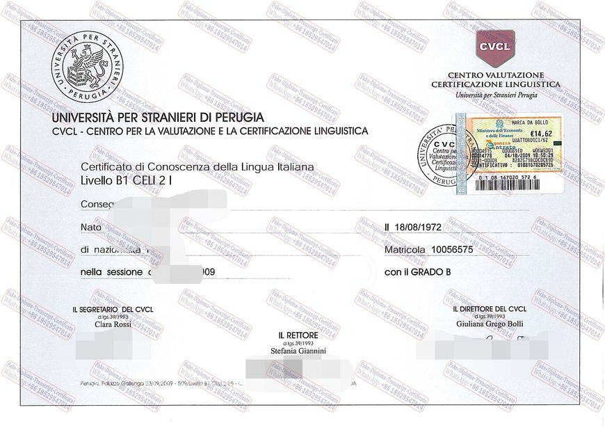 How to create fake University of Perugia Certificate