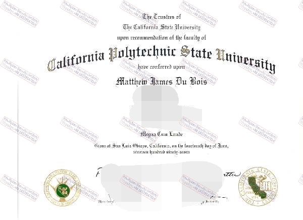 How to purchase fake Buy fake California Polytechnic State University Degree Certificate