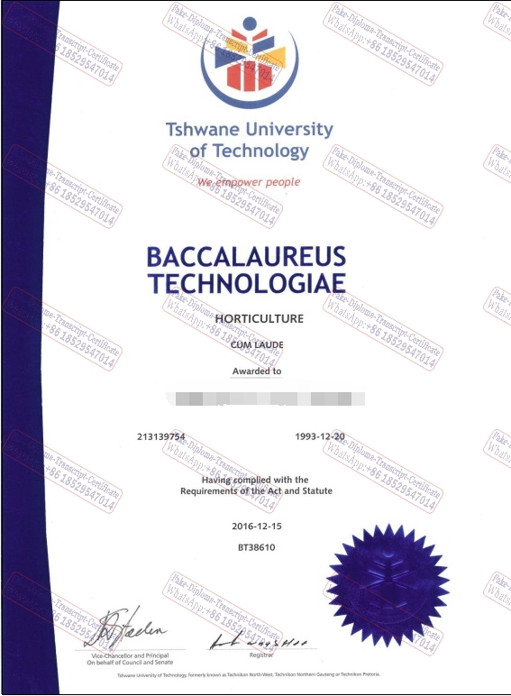 How to purchase fake Tshwane University of Technology Diploma