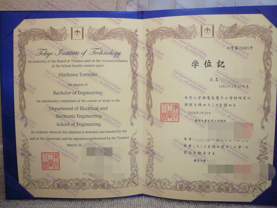 Is it possible to buy fake Tokyo Institute of Technology Diploma