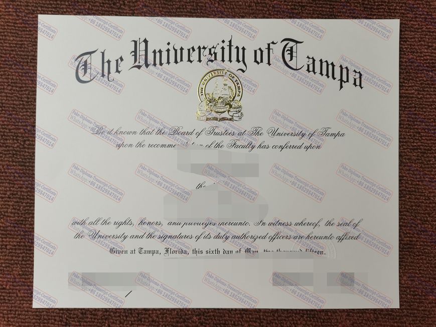 Is it possible to buy fake University of Tampa Certificate