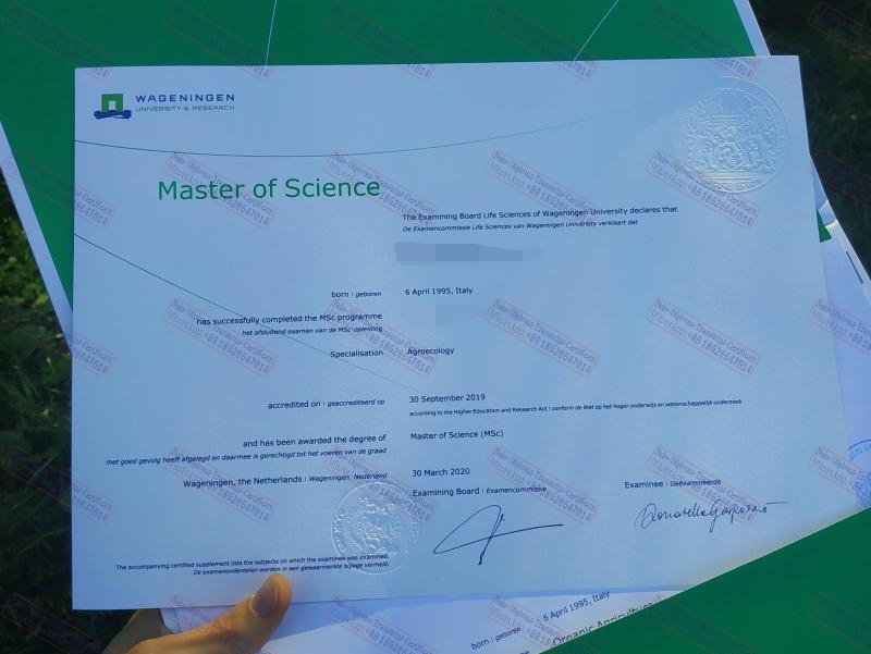 Is it possible to buy fake Wageningen Universiteit Diploma