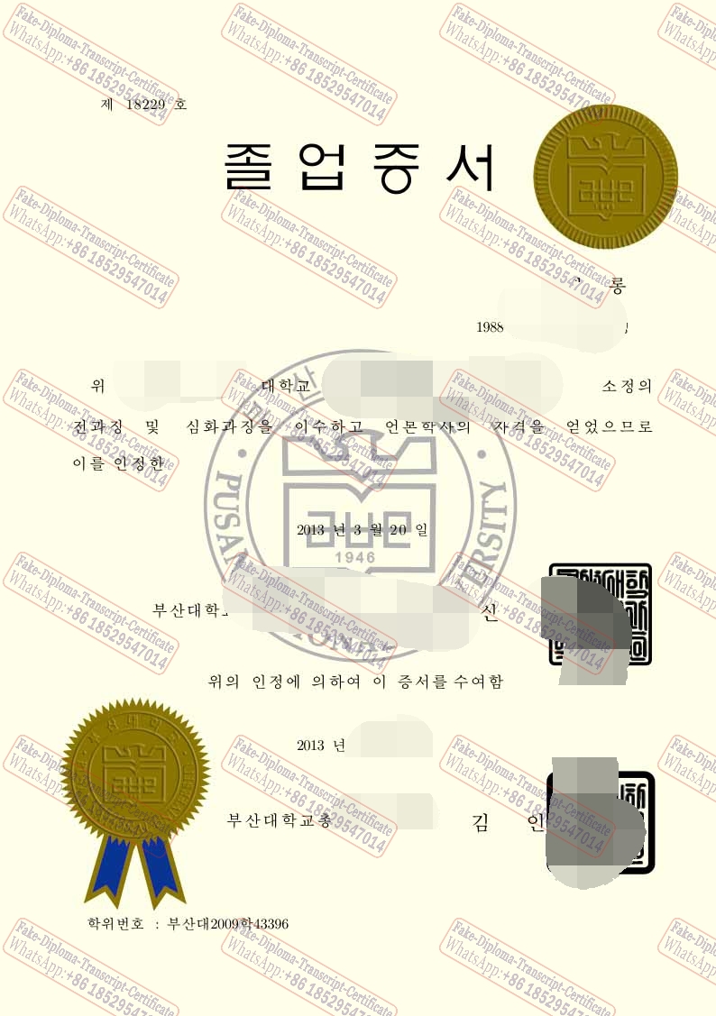 Make fake Pusan National University Certificate