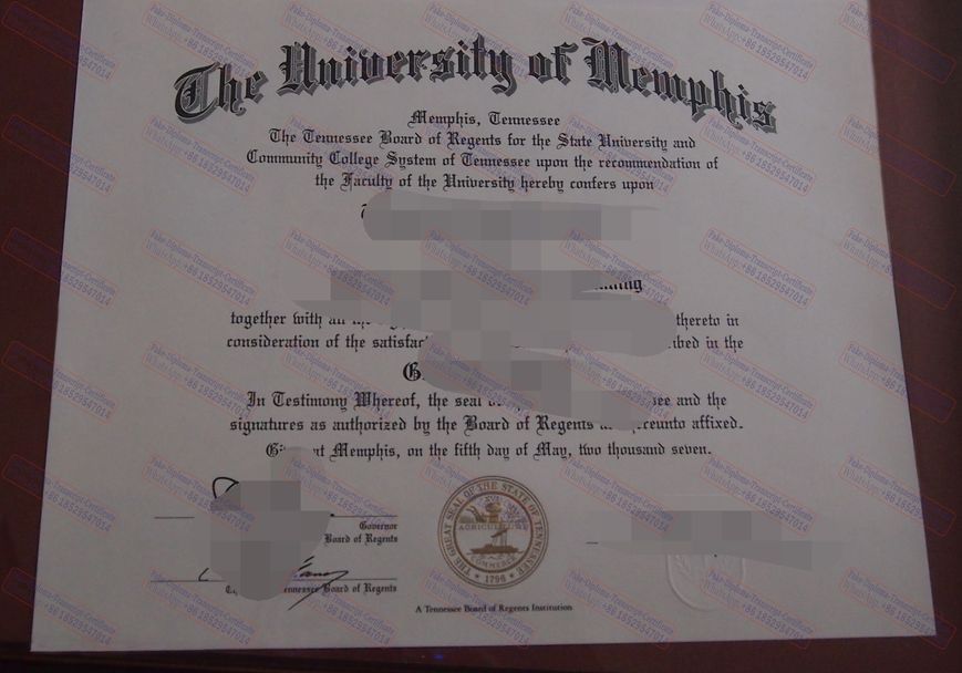 Make fake University of memphis Diploma