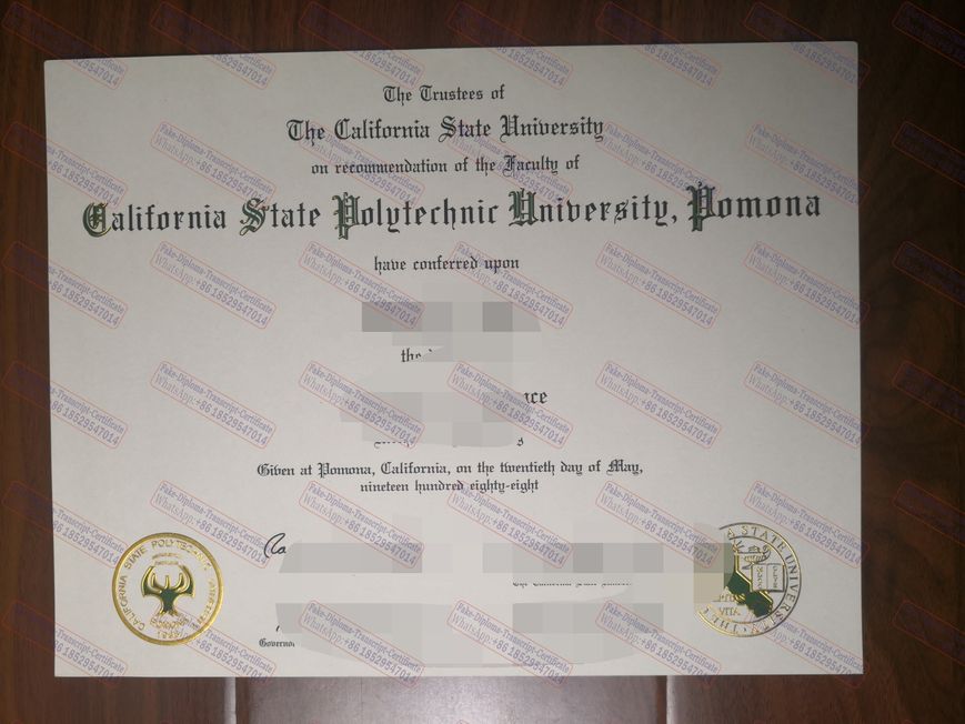 Purchase fake Make fake Cal Poly Pomona Diploma Certificate