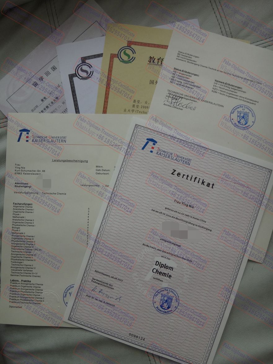 Purchase fake RPTU Kaiserslautern Diploma